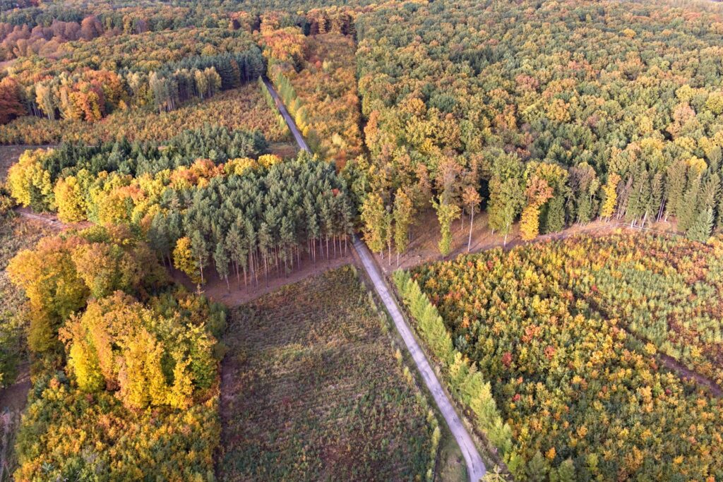 Lesy Kinský, Hunting